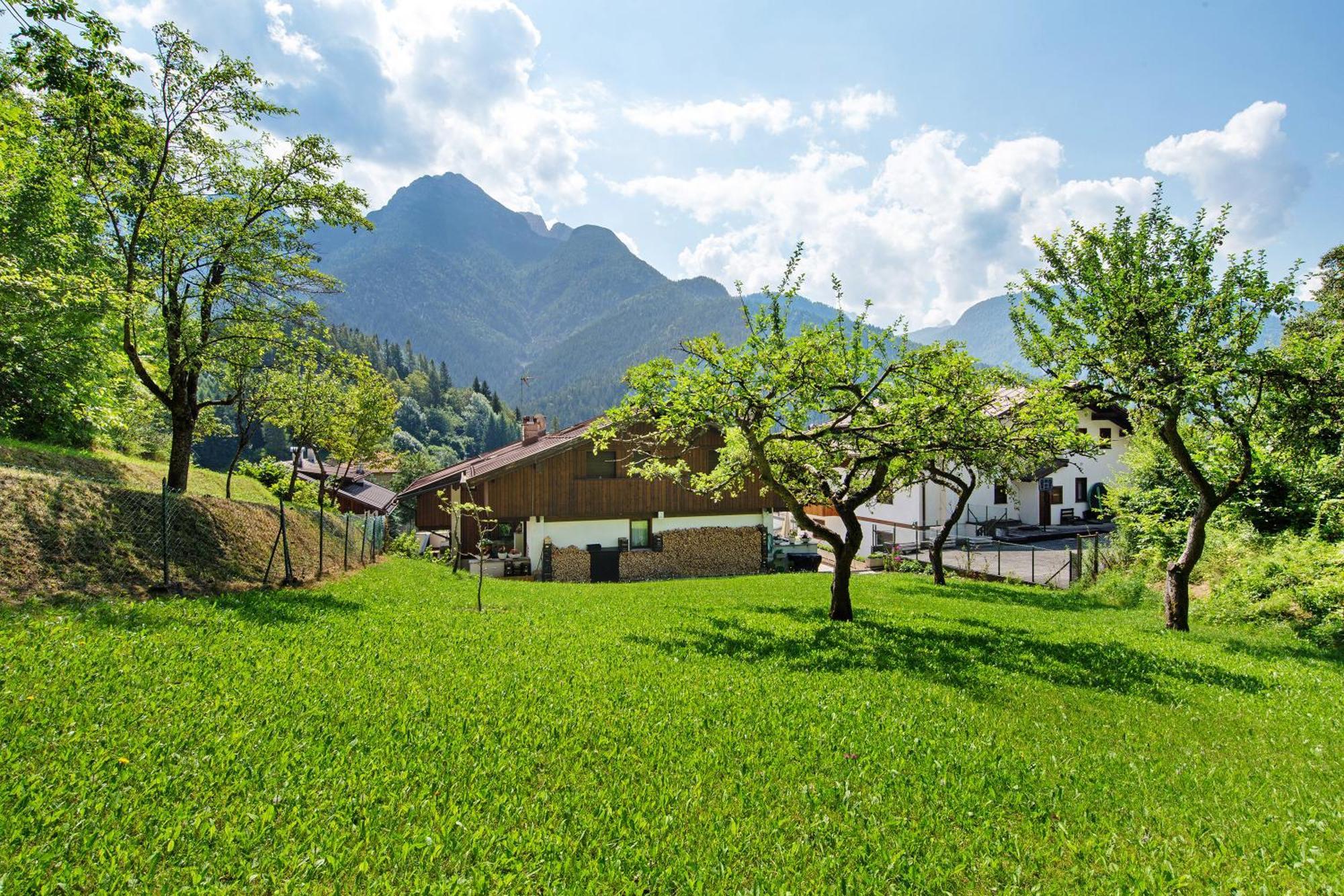 Monolocale Monti Pallidi Domegge di Cadore Exterior photo